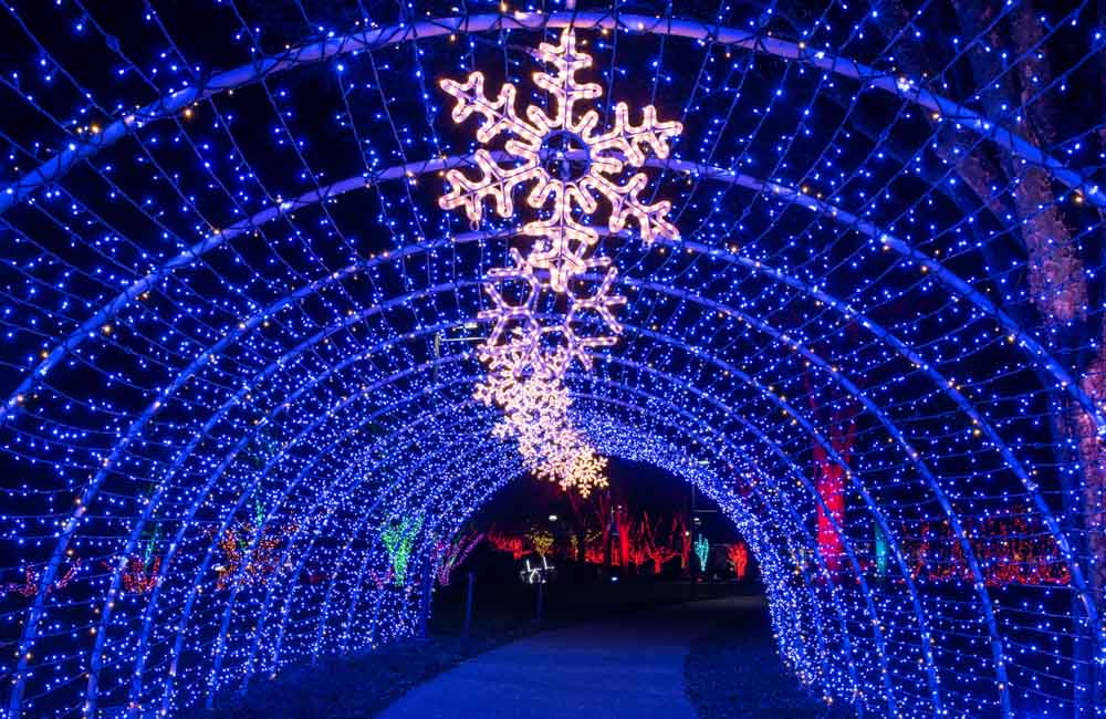 Best Things to do in Asheville during Winter: Winter Lights at The NC Arboretum