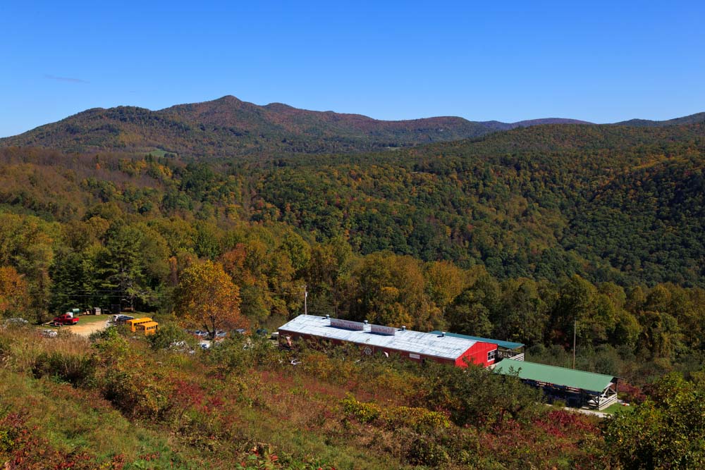 Apple Orchards Near Asheville: Orchard at Altapass
