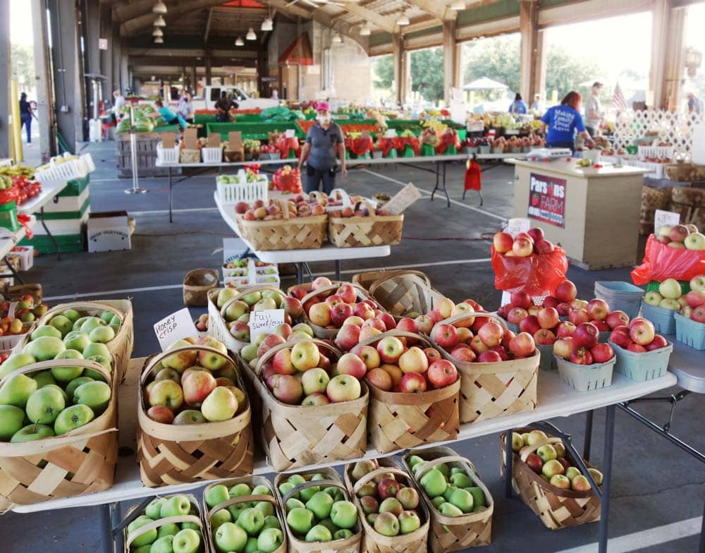 Best Apple Orchards Near Asheville: North Carolina Apple Festival