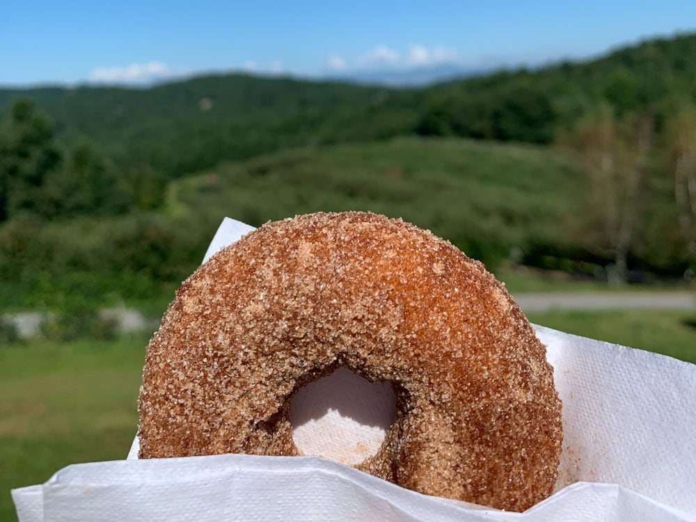 Best Donuts Shops in Asheville: Sky Top Orchard