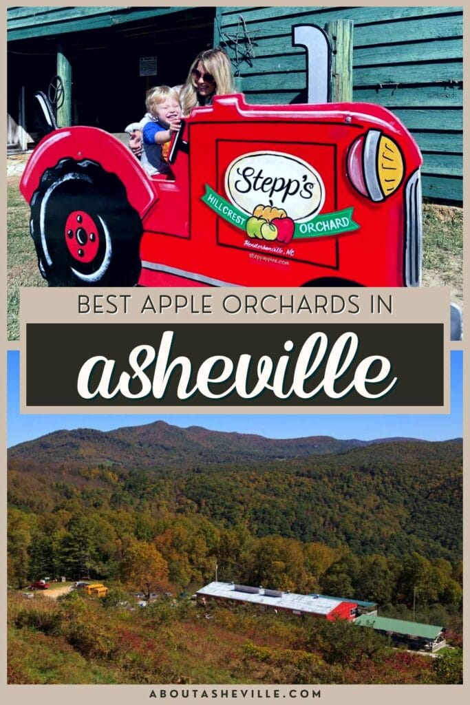 Best Places to go Apple Picking in Asheville, NC