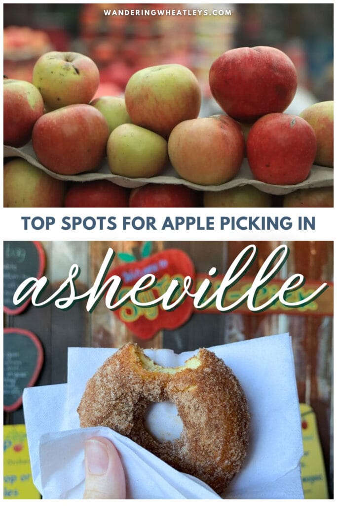 Best Places to go Apple Picking in Asheville, NC