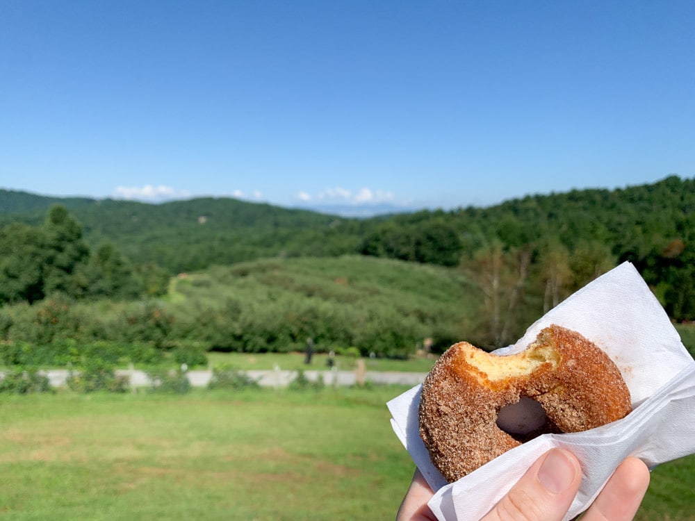 Best Things To Do in Hendersonville: Apple picking at Sky Top Orchard
