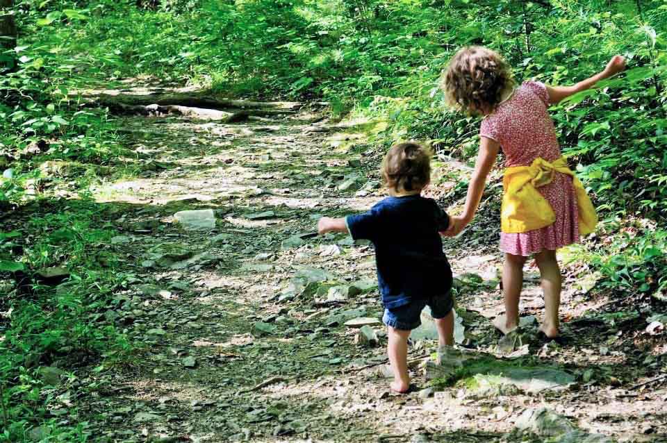 Fun and Easy Hikes for Kids Near Asheville: Pink Beds Loop Trail