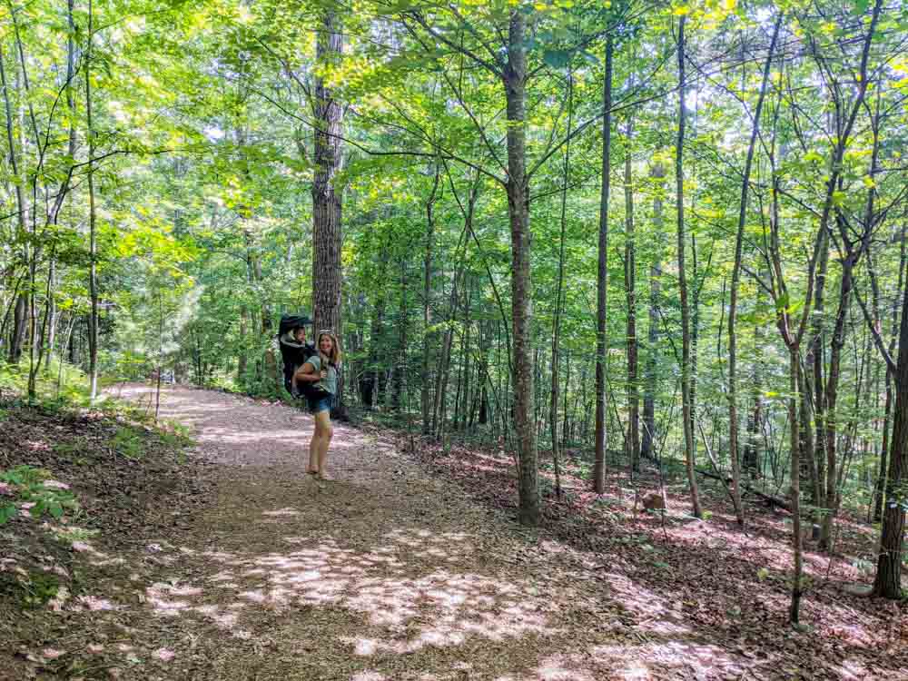 Hiking with Kids Near Asheville: NC Arboretum