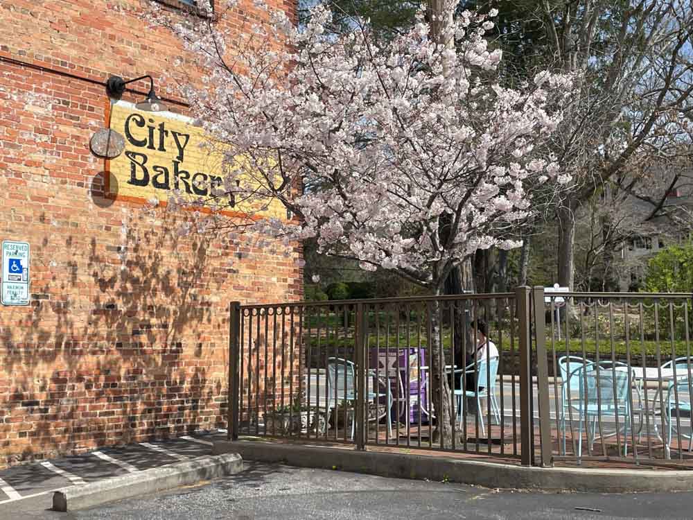 Must Visit Restaurants in Asheville for Brunch: City Bakery