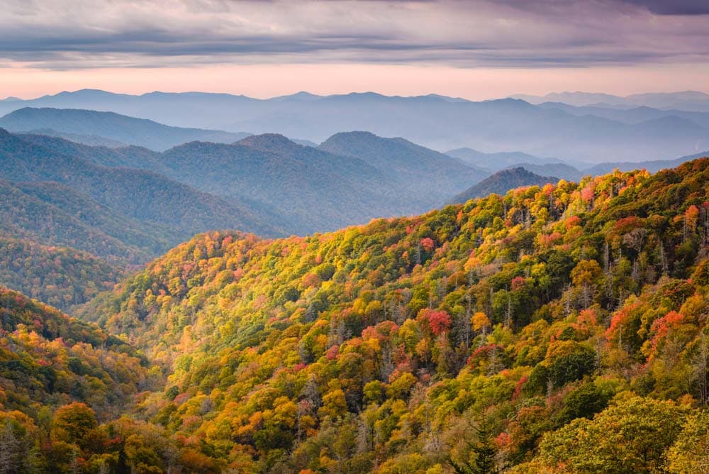Asheville Leaf Peeping: Great Smoky Mountain National Park
