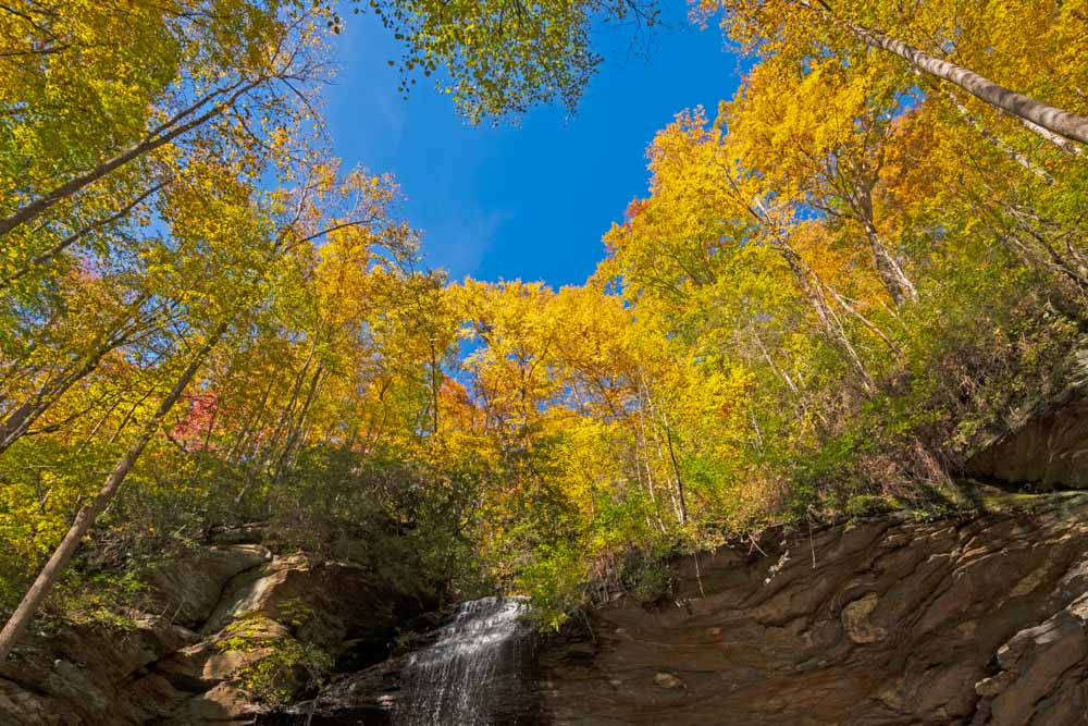 Asheville Leaf Peeping: Waterfalls Framed by Fall Foliage