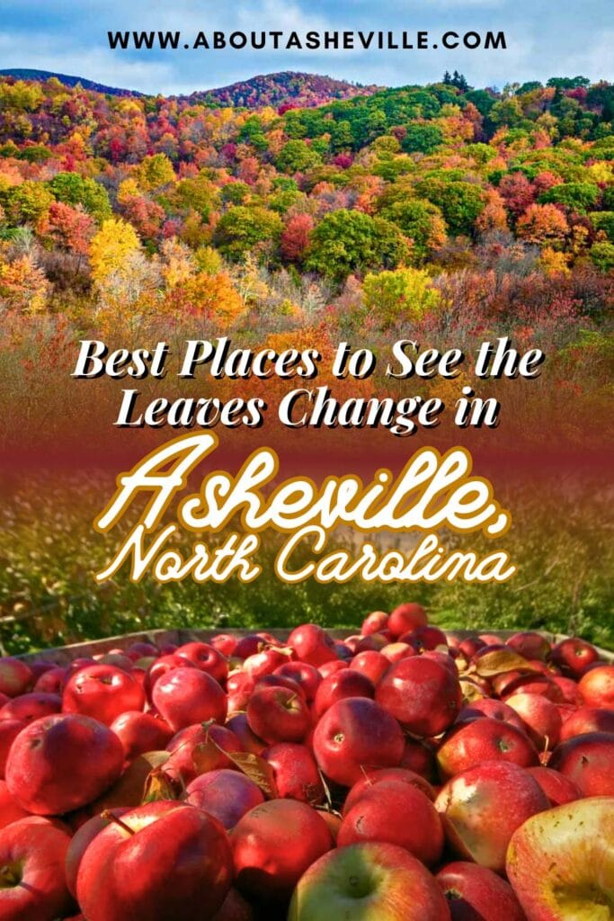 Best Places to See the Leaves Change in Asheville, NC