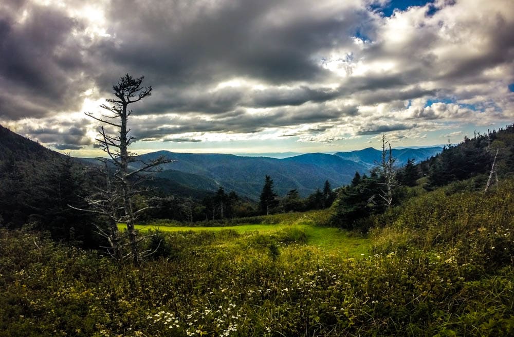 Best Route for a Road Trip around Asheville: Mount Mitchell State Park 