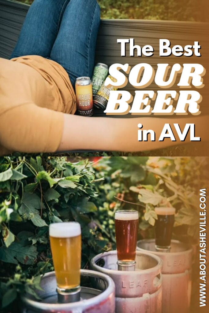 Best Sour Beer in Asheville, NC