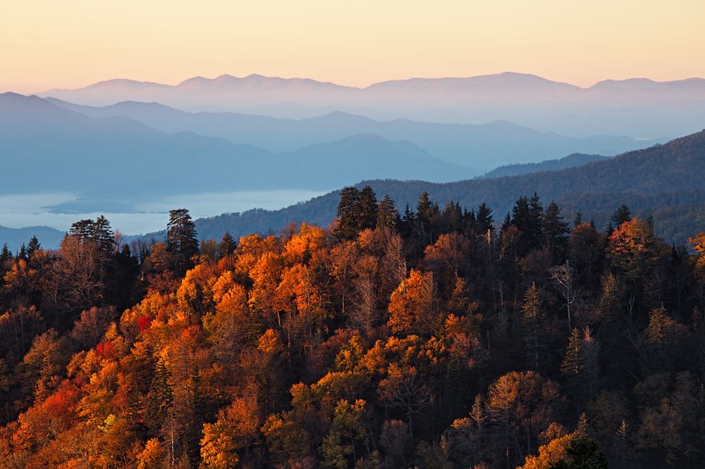 Fall Foliage in Asheville: Great Smoky Mountain National Park