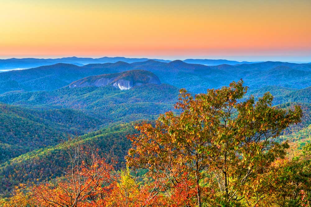 Fall Foliage in Asheville: Pisgah National Forest