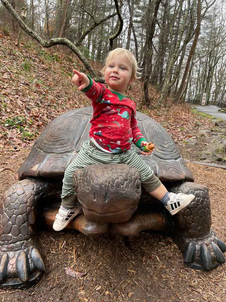 Fun Playgrounds in Asheville for Toddlers: WNC Nature Center