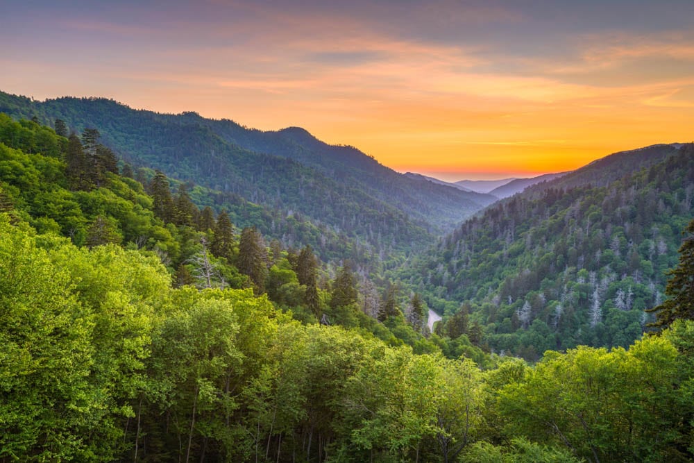 Incredible Scenic Roads around Asheville: Smoky Mountain National Park
