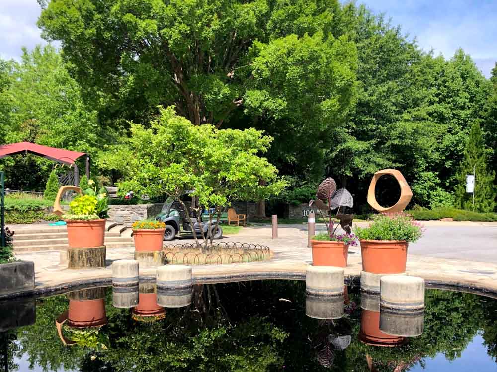 What to Do in Asheville in March:  North Carolina Arboretum