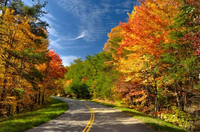 The Best Places To See The Leaves Change In Asheville In The Fall ...