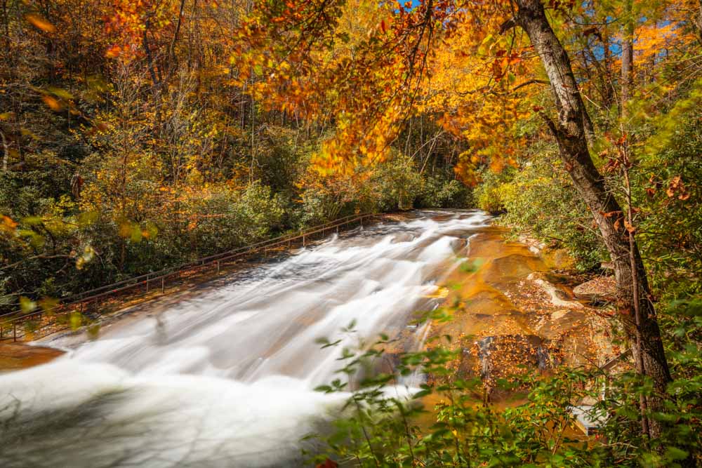 Where to See The Fall Colors in Asheville: Pisgah National Forest