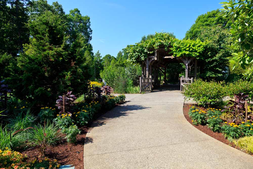Best Things to Do in Asheville in June: Botanical Gardens