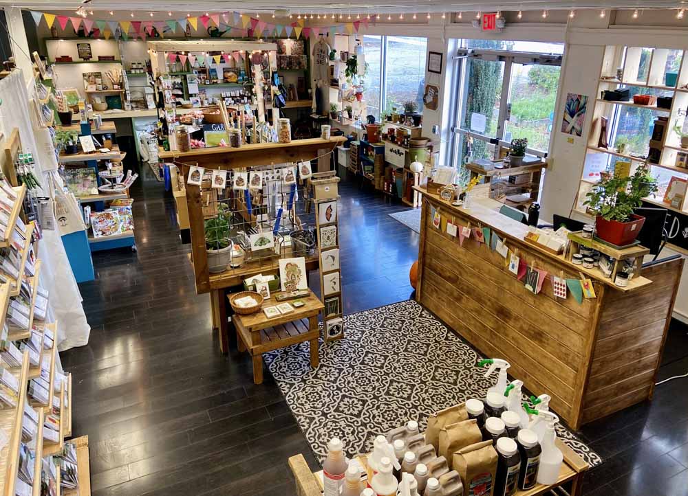 Best Local Asheville Brands: Sow True Seed