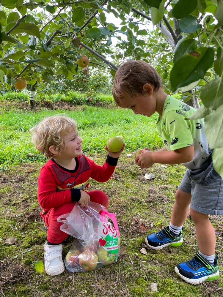 Fun Things to Do in Asheville in September: Picking Apples at a Local Orchard