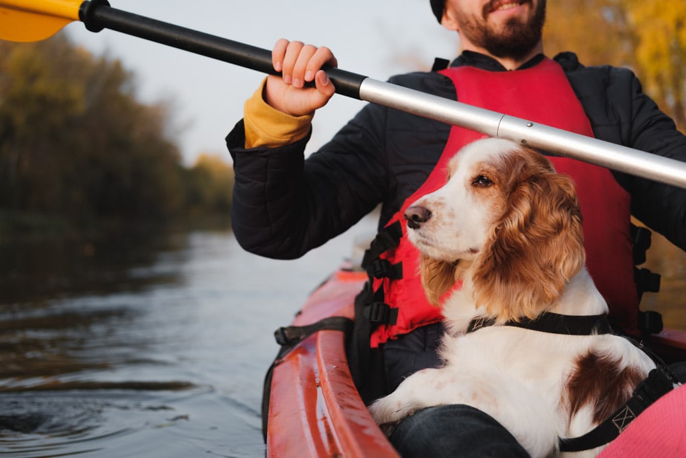 Dog Friendly Thing to Do in Asheville: Ride on a Tandem or Canoe