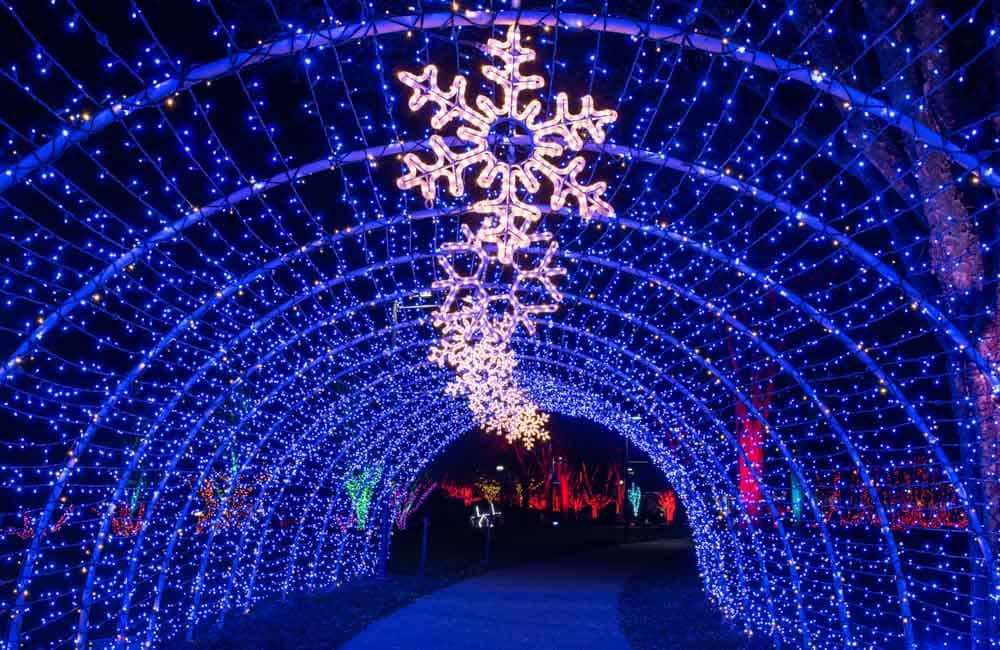Festive Places in Asheville During Christmas: NC Arboretum, Winter Lights