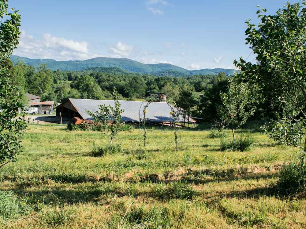 Romantic Wedding Venues in Asheville: Hickory Nut Gap Farm