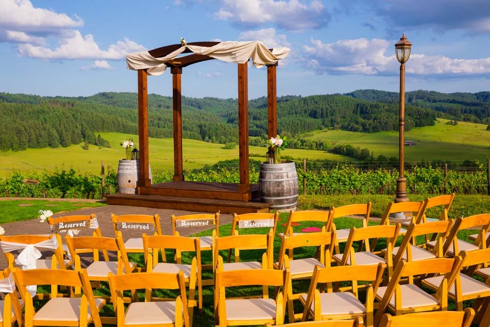 Romantic Wedding Reception in Asheville: Longleaf Vineyard