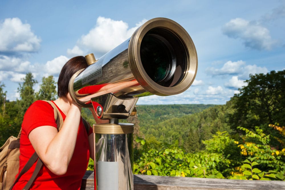 Summer Activities in Asheville: Watch the Sky 