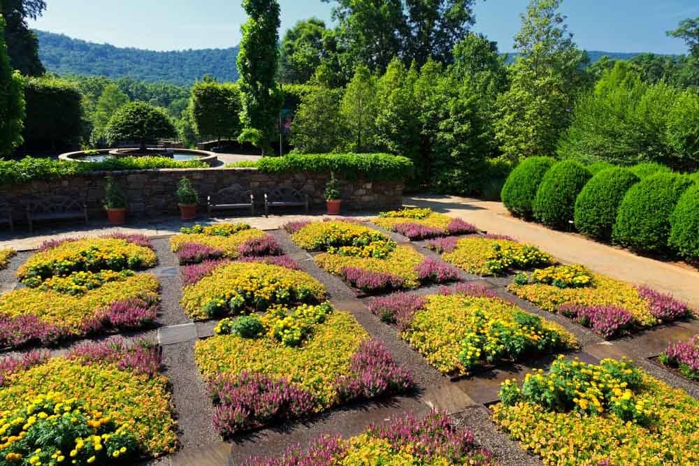 What to Do in Asheville in Summer: Flower Filled Gardens
