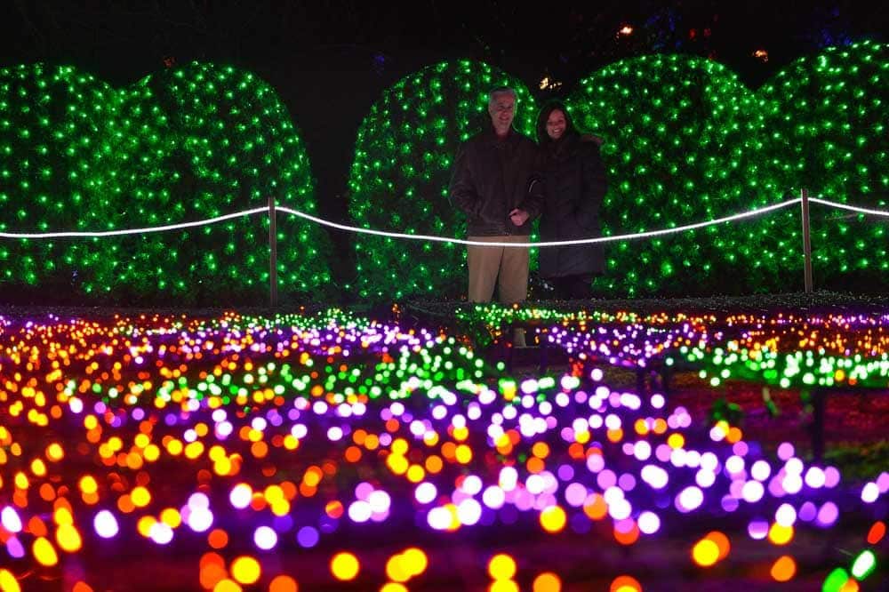 Where to See Holiday Lights in Asheville: NC Arboretum, Winter Lights