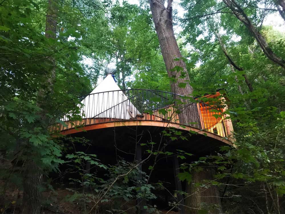 Best Places to Go Glamping near Asheville: Tree Top Tipi