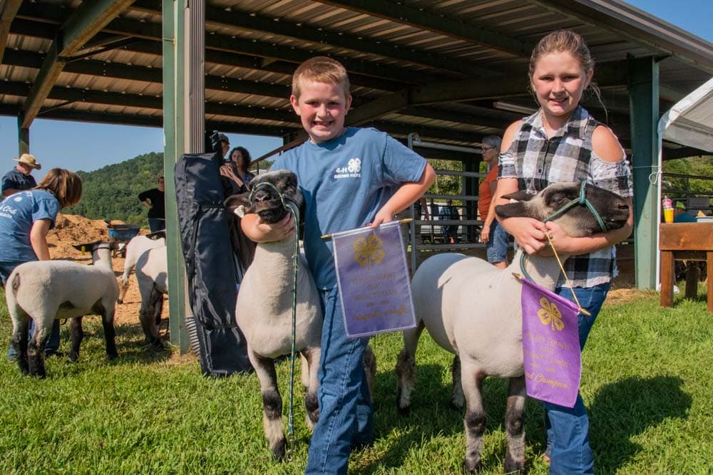 Complete Guide to Bryson City: Swain County Agricultural Fair