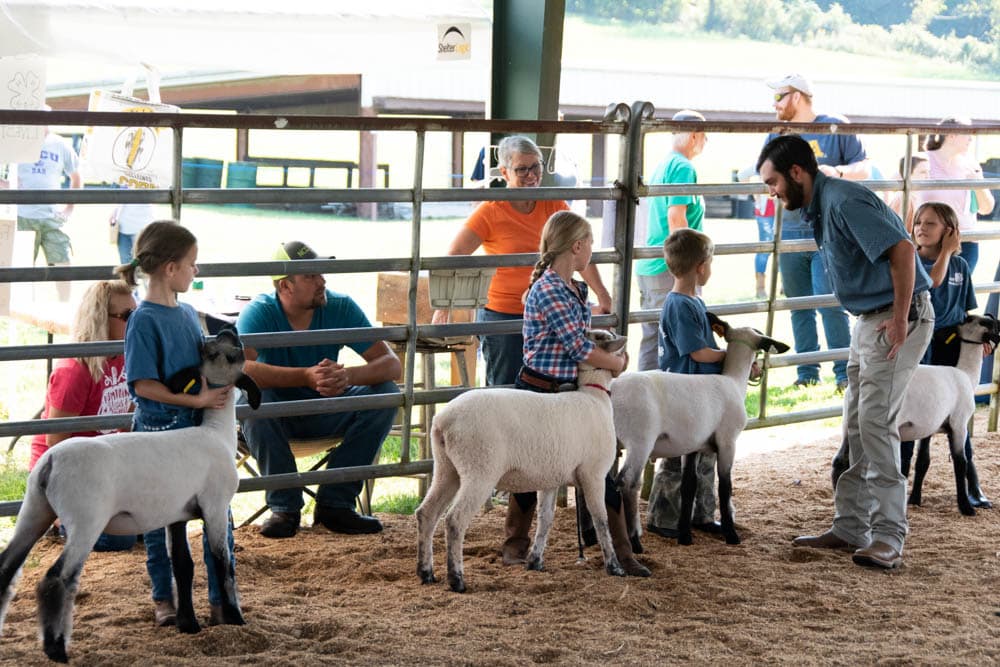 Things to do in Bryson City: Swain County Agricultural Fair