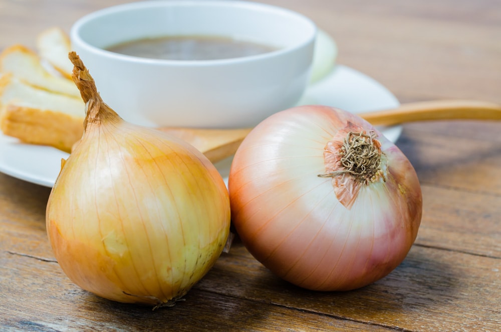 Best Restaurants in Waynesville: The Sweet Onion 