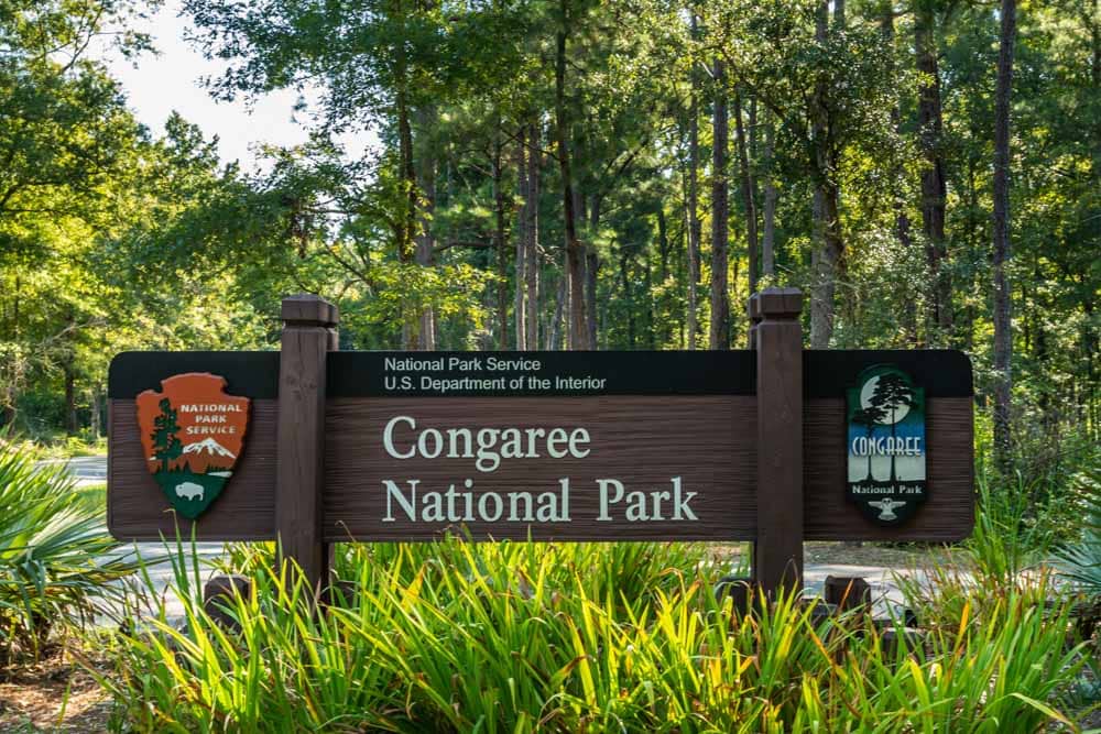 Best National Parks Near Asheville: Congaree National Park