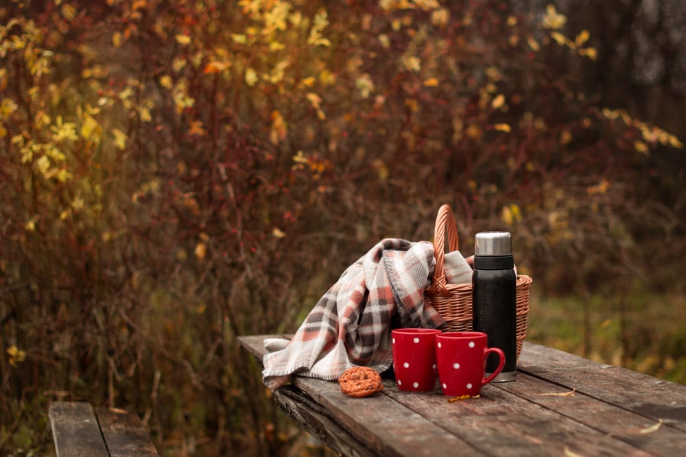 Best Things to do in Asheville during Fall: Have a Picnic