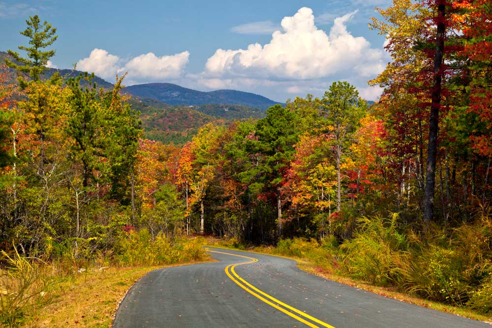 Weekend Trips From Asheville: Gorges State Park 