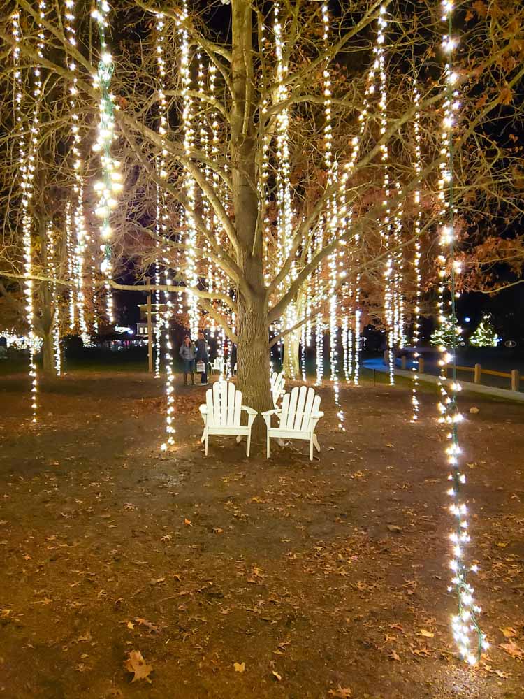 Best Asheville Christmas Festivities: Christmas at the Biltmore
