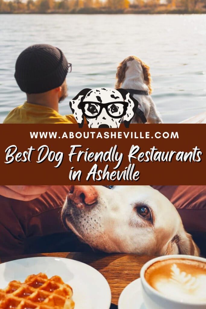 Best Dog Friendly Restaurants in Asheville, NC