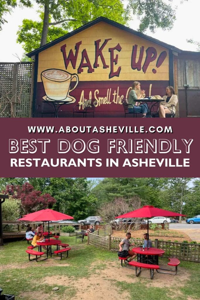 Best Dog Friendly Restaurants in Asheville, NC