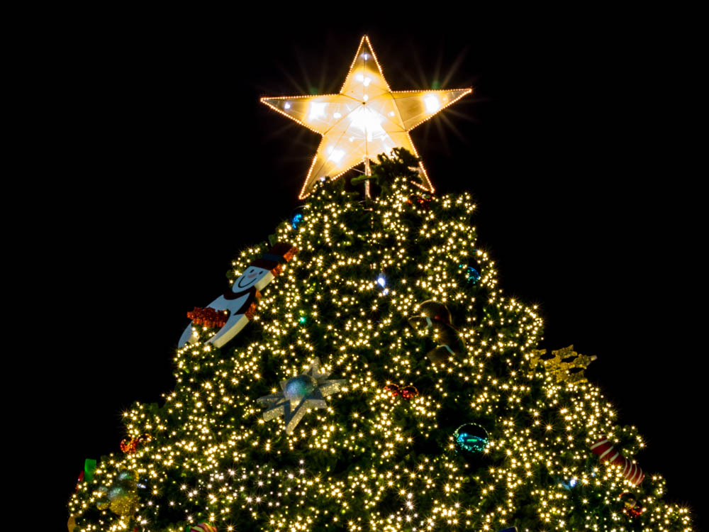 Christmas Festivities and Events in Asheville: Grove Arcade Tree-Lighting Ceremony