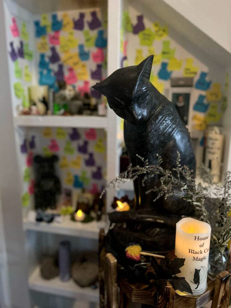 Cat Supplies in Asheville House of Black Cat Magic