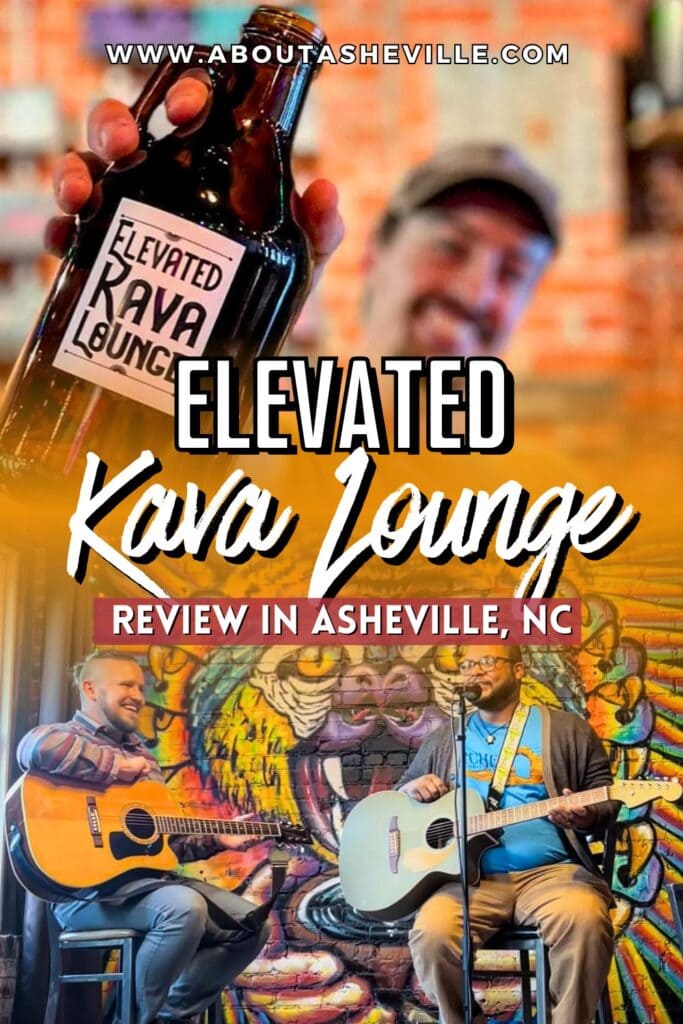 Elevated Kava Lounge Review in Asheville, NC