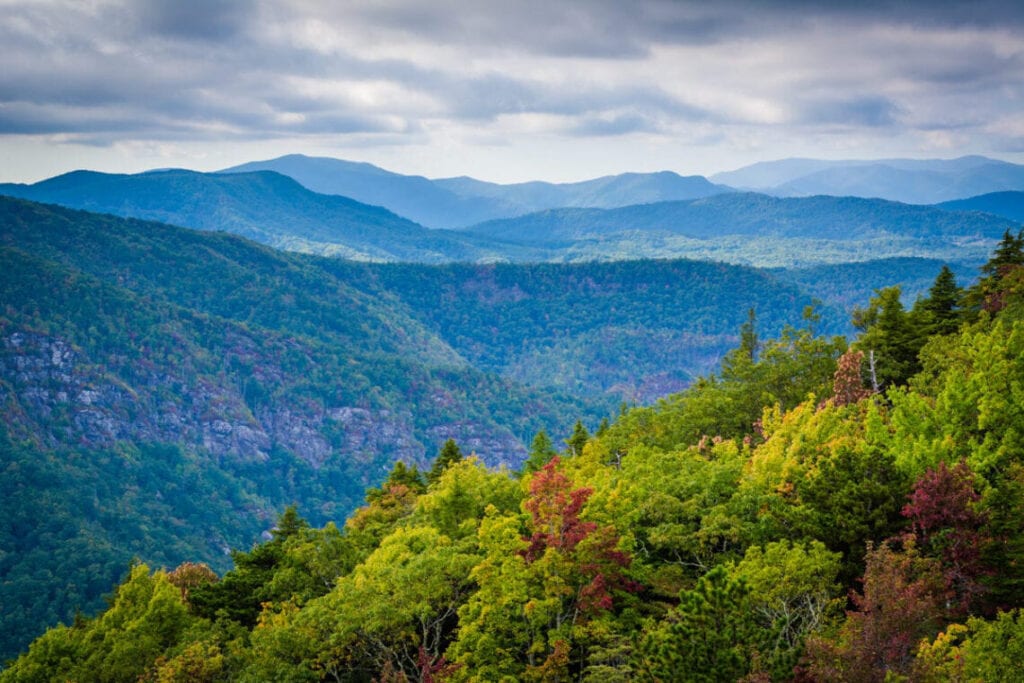 Best Things to Do in Asheville in Spring: Blue Ridge Parkway