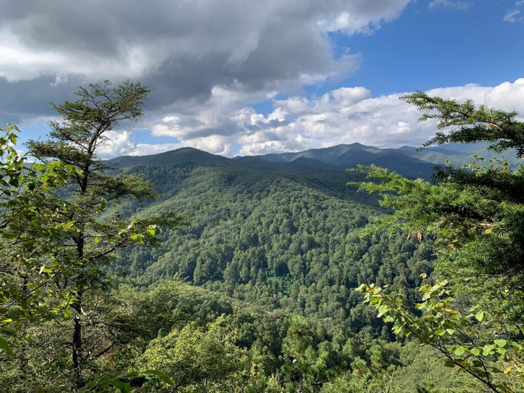 Best Hiking Trails near Asheville: Kitsuma and Point Lookout Loop 