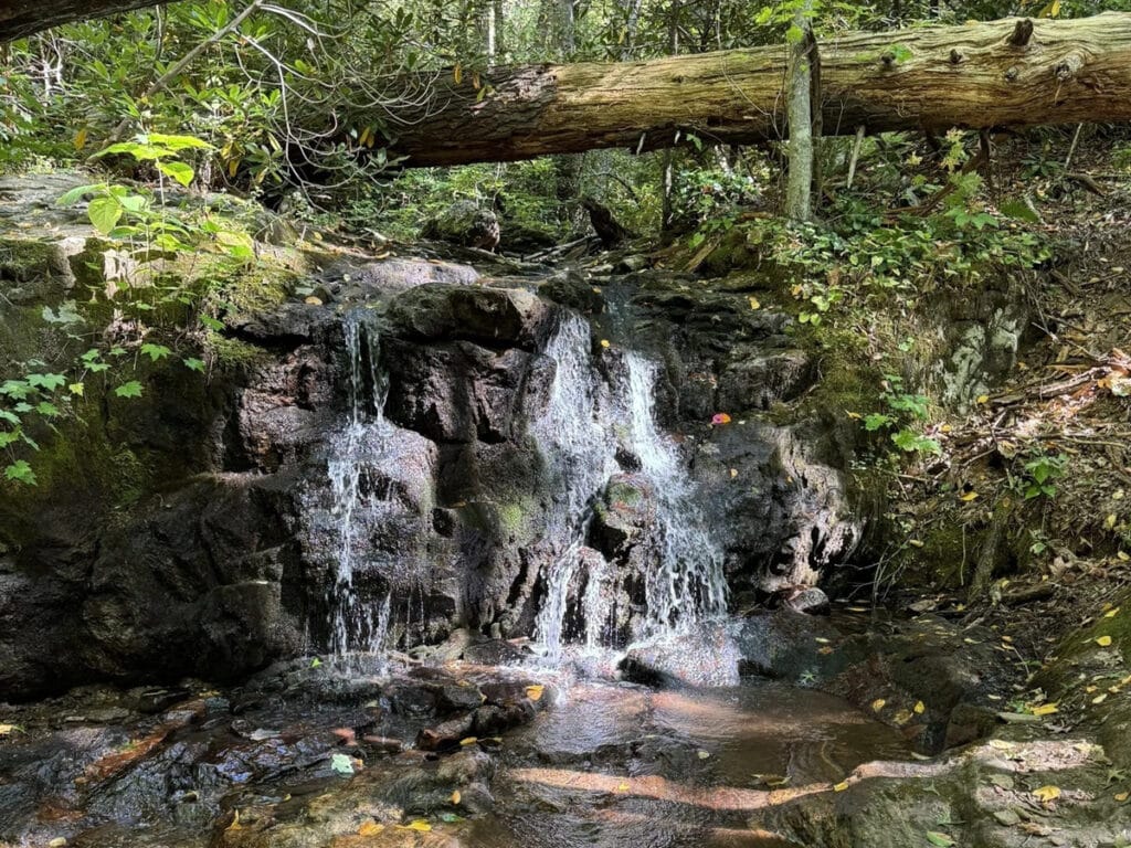 Best Hiking Trails near Asheville: Shope Creek Trailhead