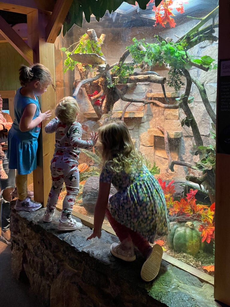 Best Ideas for Toddler Birthday Parties in Asheville: WNC Nature Center 