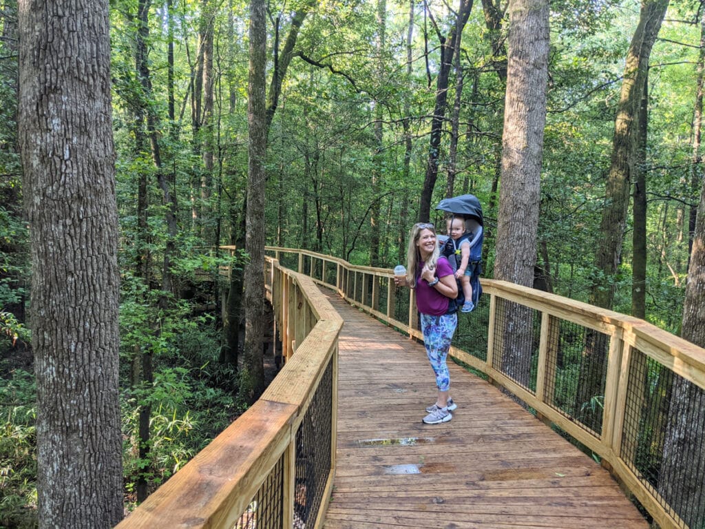 Must Haves when Hiking in Asheville with Kids: Carriers